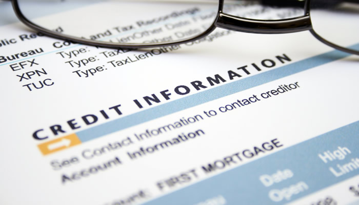 Credit Information Document