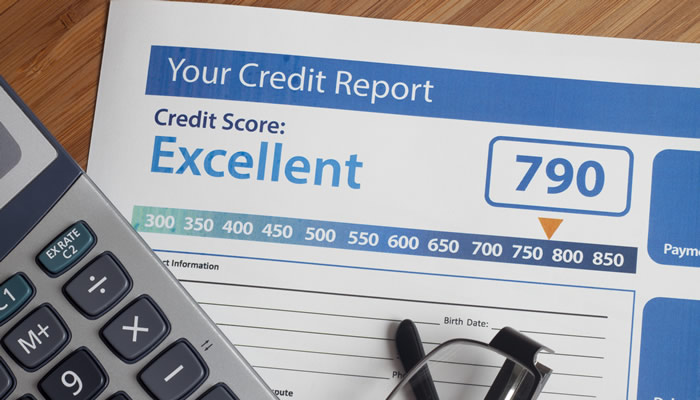 Credit Report Image